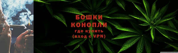 ПСИЛОЦИБИНОВЫЕ ГРИБЫ Алзамай