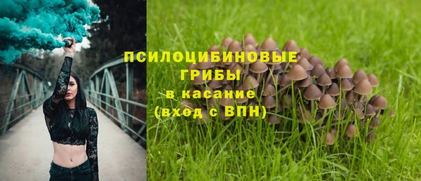 ПСИЛОЦИБИНОВЫЕ ГРИБЫ Алзамай