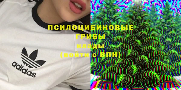 СК Алексеевка