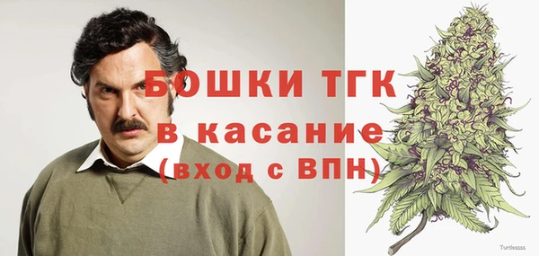 ПСИЛОЦИБИНОВЫЕ ГРИБЫ Алзамай