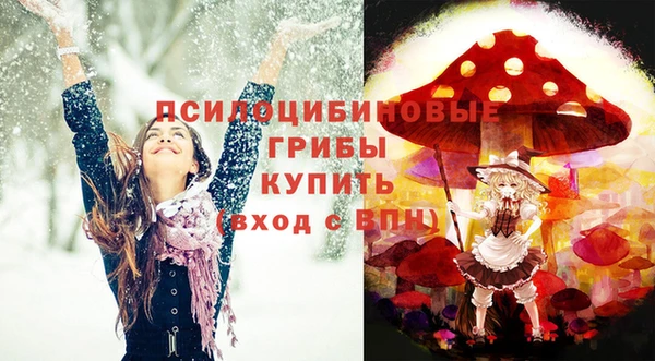 ПСИЛОЦИБИНОВЫЕ ГРИБЫ Алзамай
