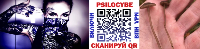Галлюциногенные грибы Magic Shrooms  гидра как зайти  Ардон 